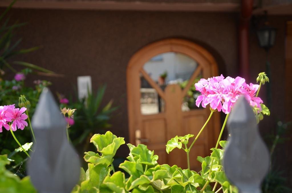 Villa Caci Ohrid Ngoại thất bức ảnh